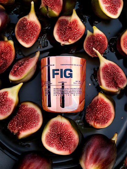 Issue 05.03: FIG